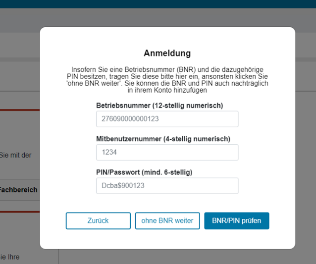 Verifizierung mittels BNR und PIN